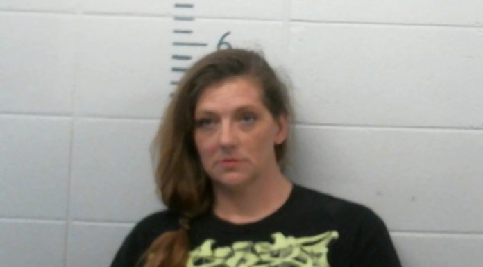 Howell County Most Wanted Oct. 7: Stephanie D Collins