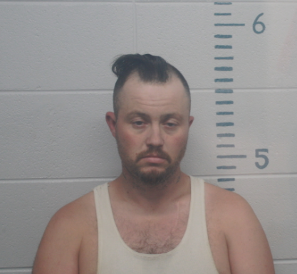 Traffic stop leads to arrest