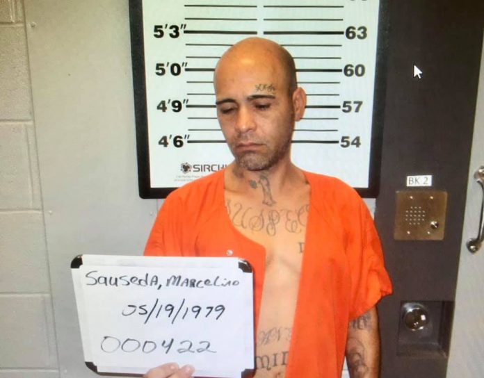 SAUSEDA, MARCELINO