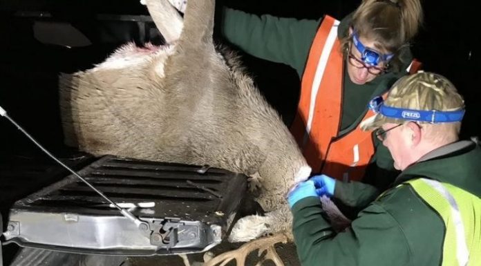MDC changes Nov. 14-15 mandatory CWD sampling to voluntary
