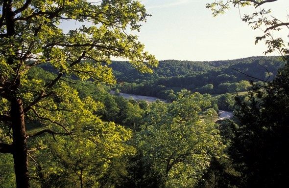 MDC maintains sustainable forestry certification