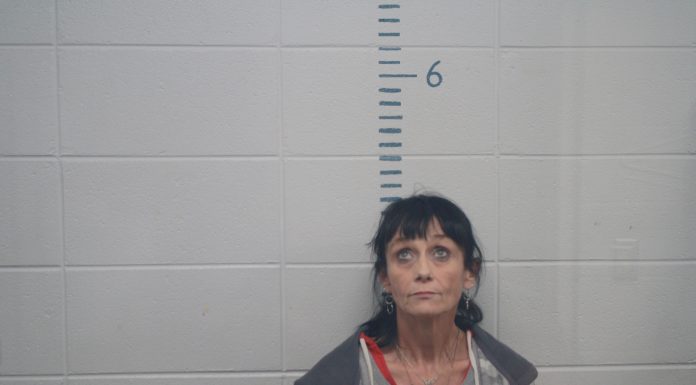 Howell Co. Most Wanted November 4, 2020: Sharon K Ashmead