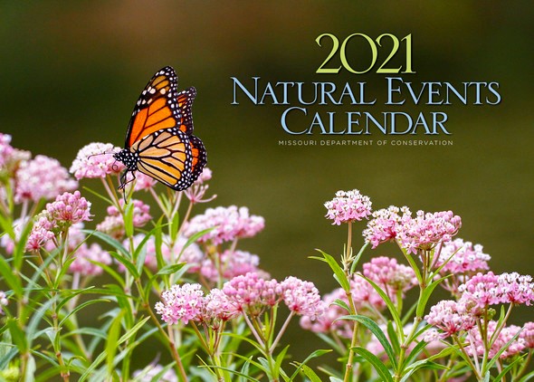 MDC calendar