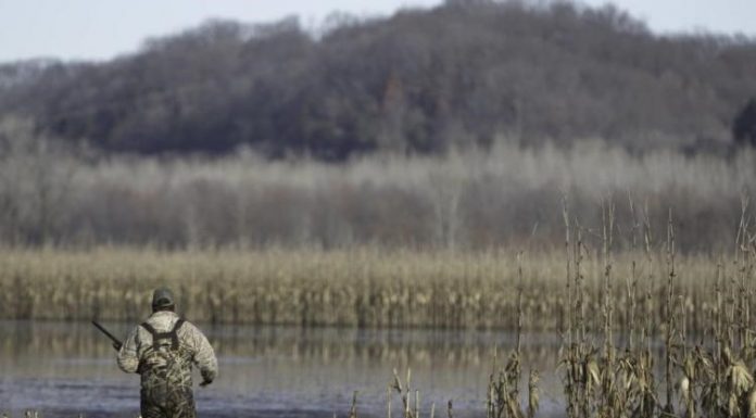 MDC Managed Waterfowl Hunts Going to COVID Level Red Starting Wednesday
