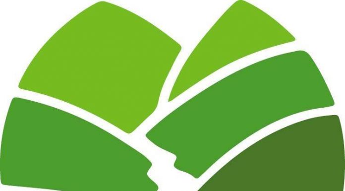 Ozarks Healthcare provides mental health holiday message