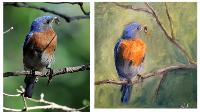 Daddy Bluebird 2021