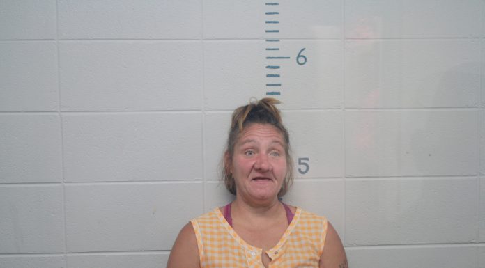 Howell Co. Most Wanted December 9: Christi A. Fields