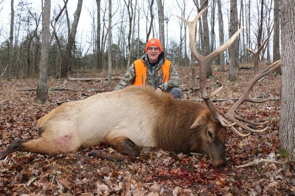 elkhunt
