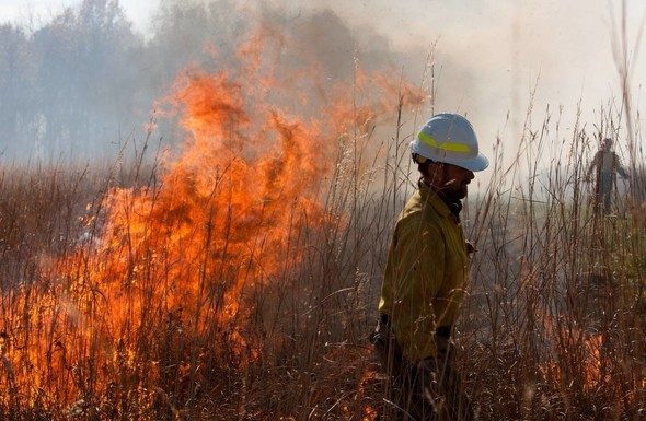MDC to hold virtual workshops on prescribed burning