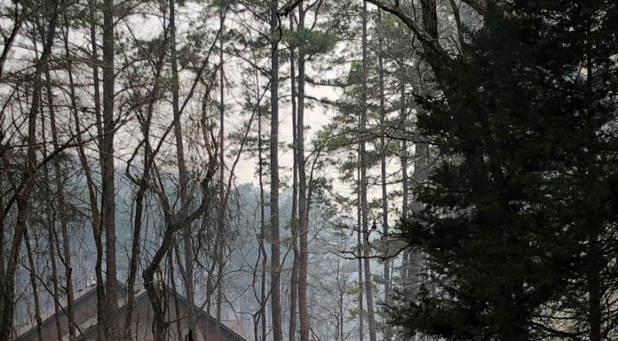 Ozark National Scenic Riverways plans to conduct prescribed burns