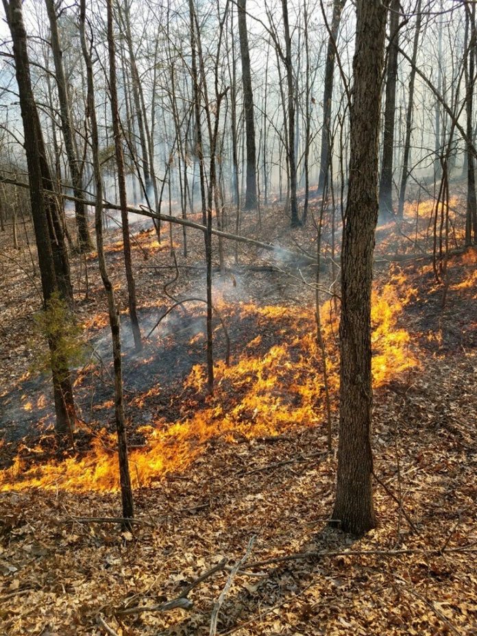 Rx Fire