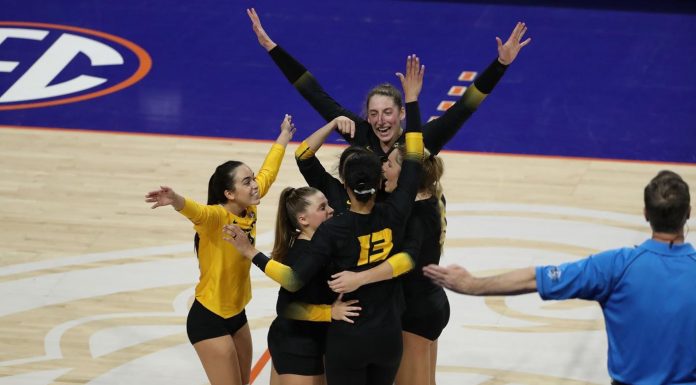Mizzou Volleyball Hosts Texas A&M in Final Home Matches