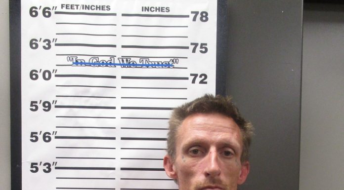 Theodosia man arrested after fleeing Ava police