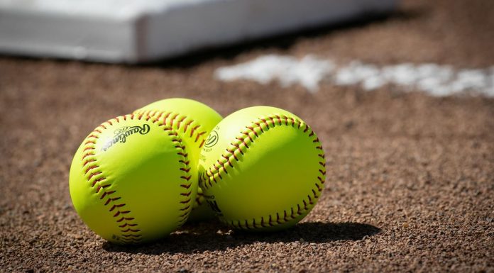 MSU Softball Postpones SIU Series Finale