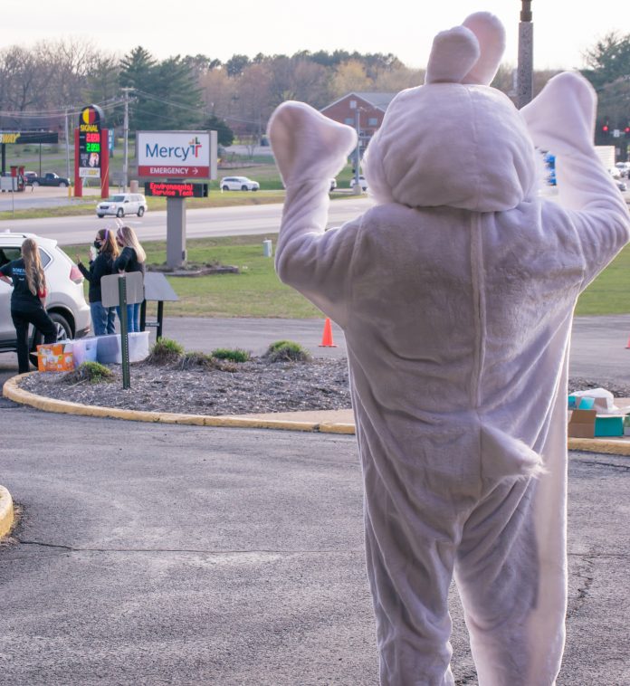 Bunny Wave crop