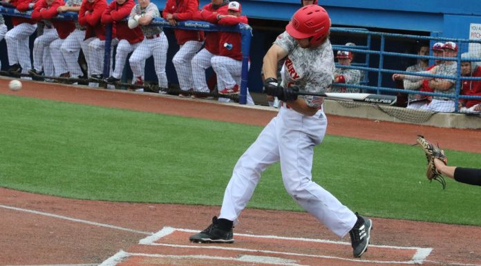 6th ranked Illinois Springfield completes sweep of Panthers