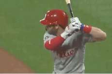 bryce
