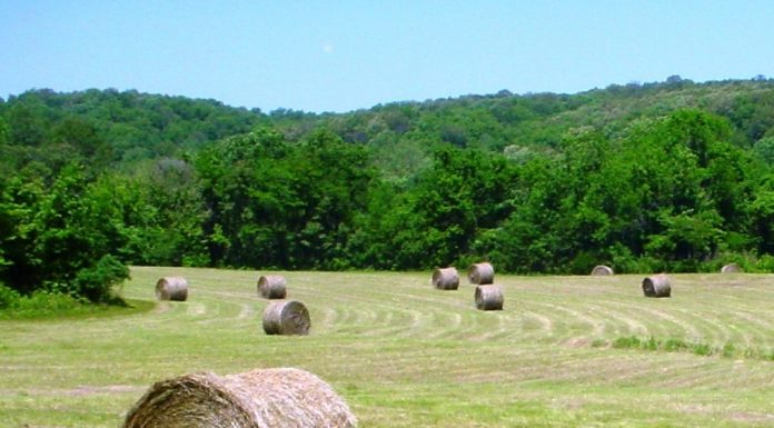 Agricultural Special Use Permits available at Ozark National Scenic Riverways