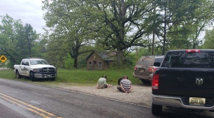Ozark County Sheriff’s Department arrests four, find dead sheep
