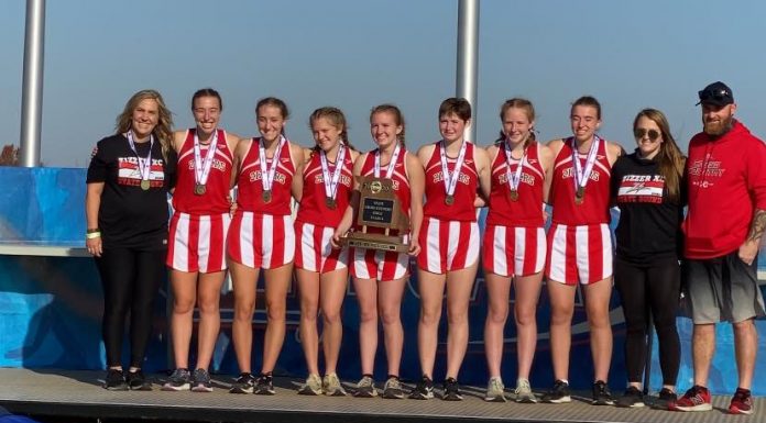 Lady Zizzers are being honored in Springfield as they have been nominated as a Team of the Year for high school sports in MO.