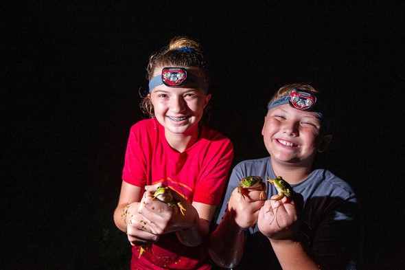 Frog Season