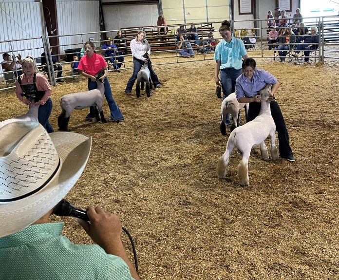Fair11a