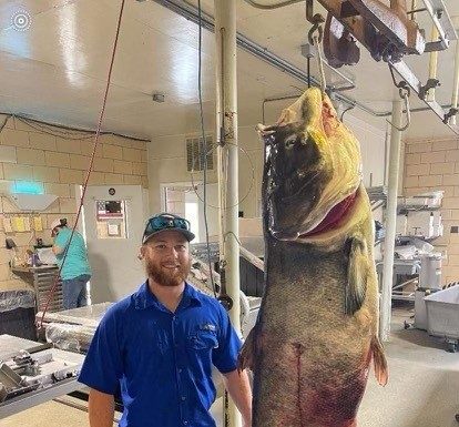 Perry County bowfisherman catches world record sized bighead carp