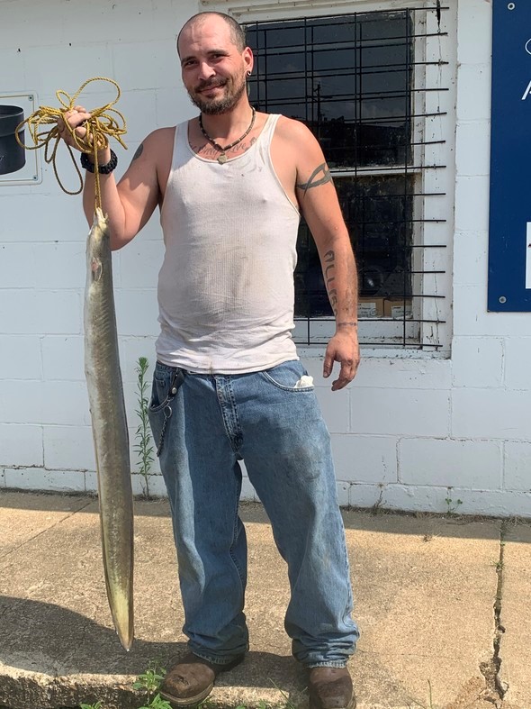 Ripley County angler swipes rare state record for American eel