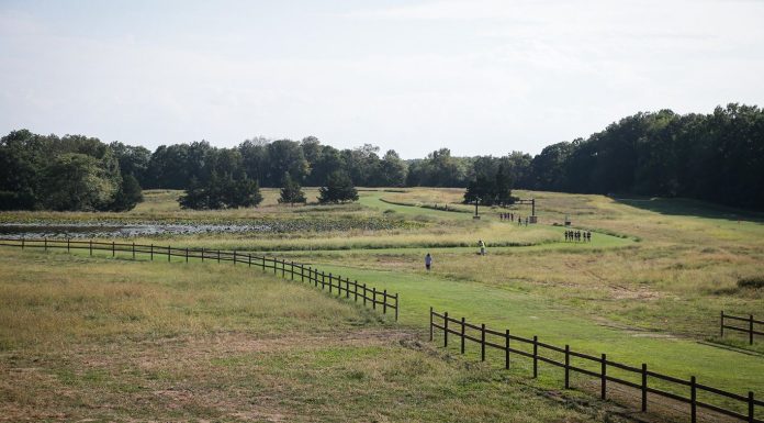 Mizzou Cross Country to Host Three Home Meets In 2021