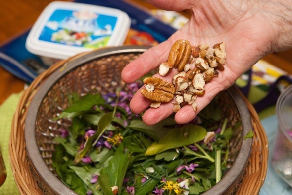 Wild Edible