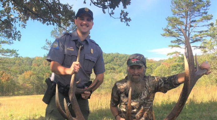 First Elk harvested by archery in Missouri