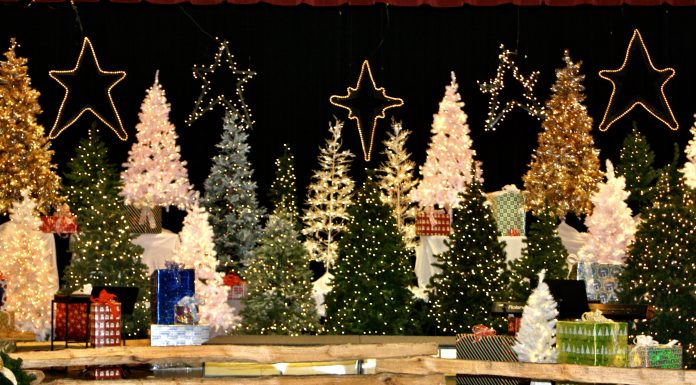 Toys For Tots Christmas Show Dec. 3rd & 4th