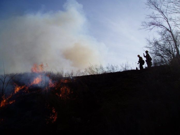 USDA Forest Service Photo_2022 Fire Grants