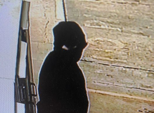 Armed Robbery in Gainesville
