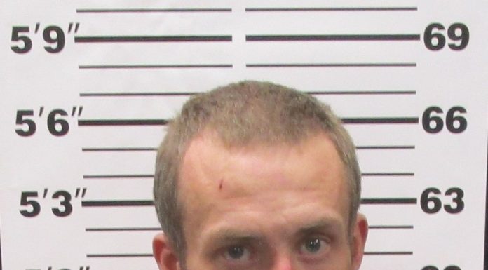 Wanted Gainesville Man Arrested, Felony Charges Pending