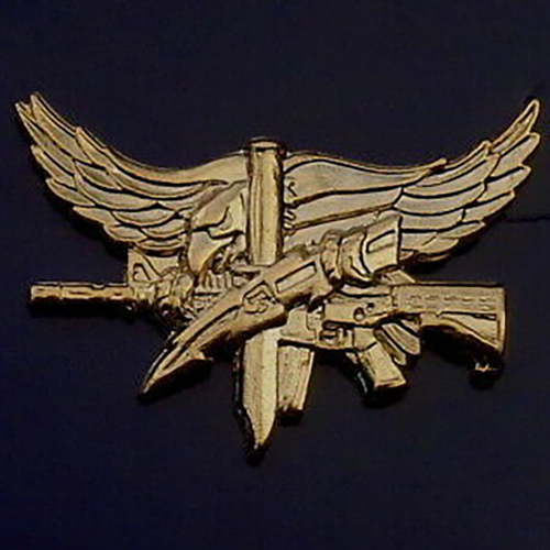 Wright County SOG500x500
