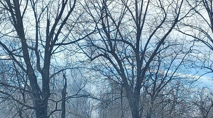 30 Acre Fire Over the Weekend in Ozark County