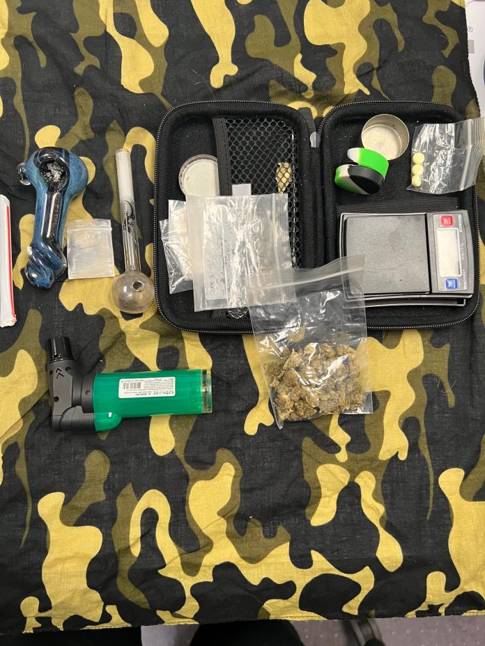 Ava Drug arrest