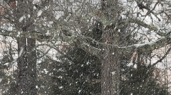 February Winter Weather Gallery