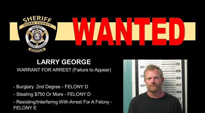 Ozark County Most Wanted for Feb. 9, 2022