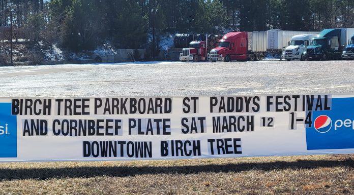 St. Patrick’s Day Celebration in Birch Tree March 12