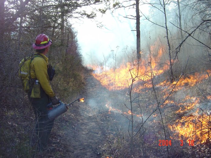 Prescribed Burn2