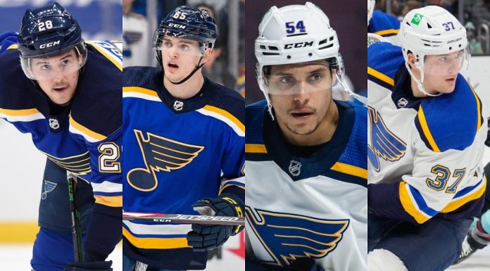 Blues recall MacEachern, Toropchenko from Springfield