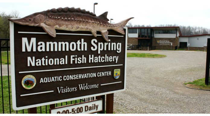 Earth Day Festivities Coming Up Next Week in Mammoth Spring