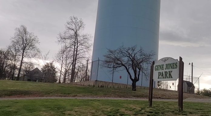 VIDEO: New Dog Park Being Constructed at Gene Jones Park