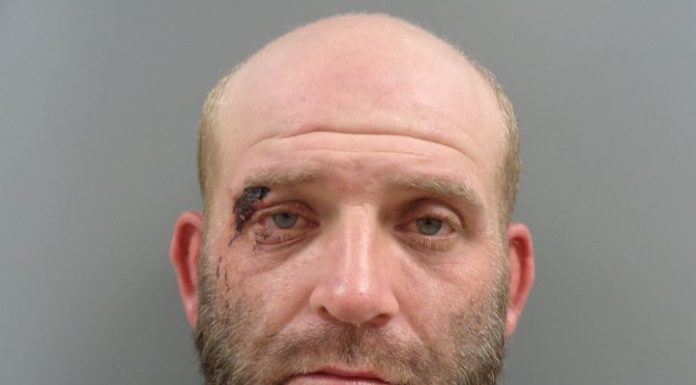 Salem, AR Man Charged With Manslaughter After Altercation and Crash