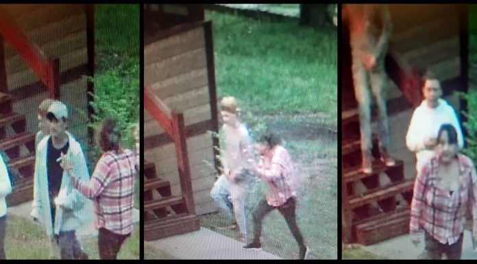 Douglas County Sheriff’s Office Seeking Assistance in Identifying Burglars