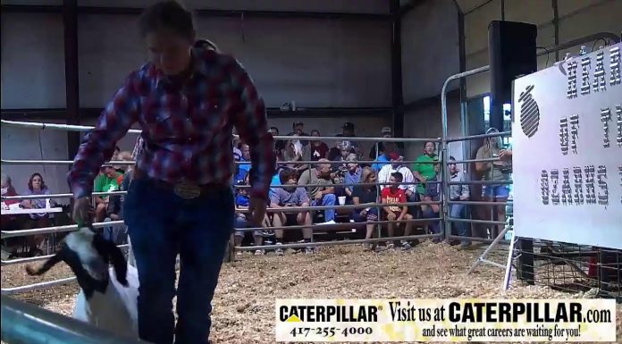 Video: 2022 Heart Of The Ozarks Fair Youth Livestock Auction