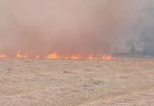 Dent County Added to Burn Ban List