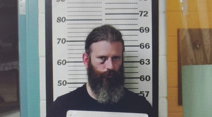 Pontiac Man Arrest by Ozark County Sheriff on Domestic Assault, Stalking